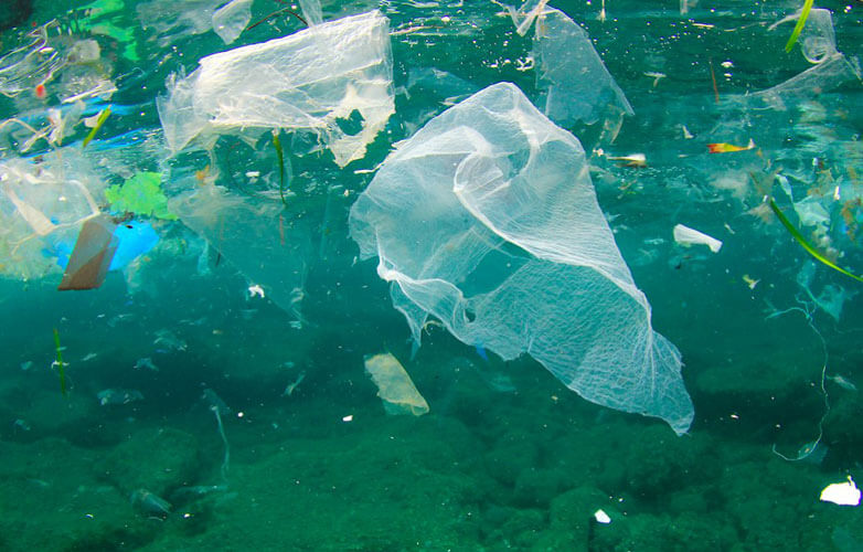 water-pollution-782x500